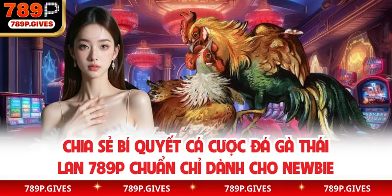 Chia sẻ bí quyết cá cược đá gà Thái Lan 789P chuẩn chỉ dành cho newbie