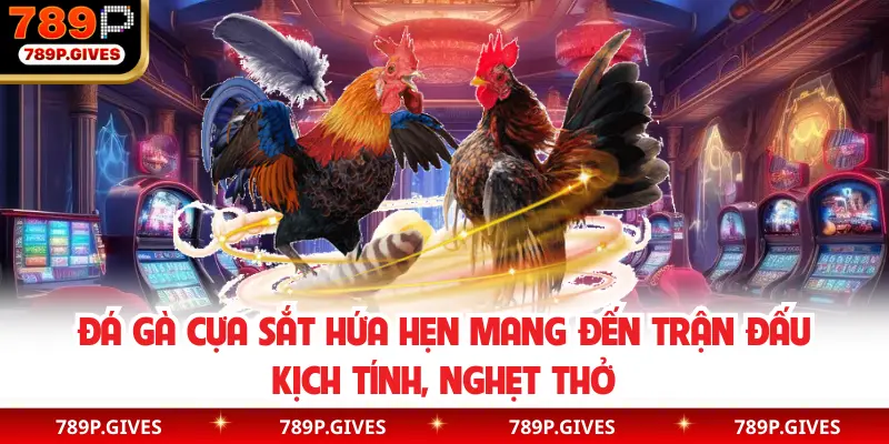 Đá gà cựa sắt hứa hẹn mang đến trận đấu kịch tính, nghẹt thở