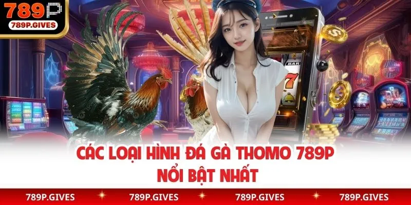 Các loại hình đá gà Thomo 789P nổi bật nhất hiện nay