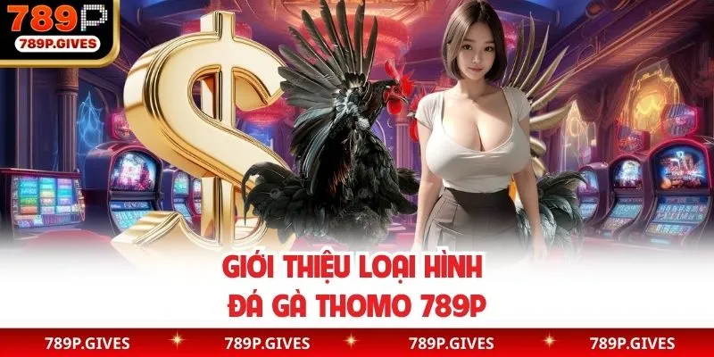 Đôi điều đá gà Thomo tại 789P