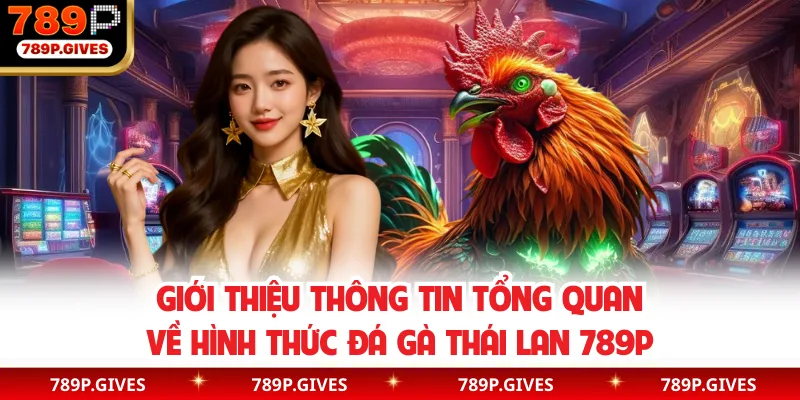 Giới thiệu thông tin tổng quan về hình thức đá gà Thái Lan 789P