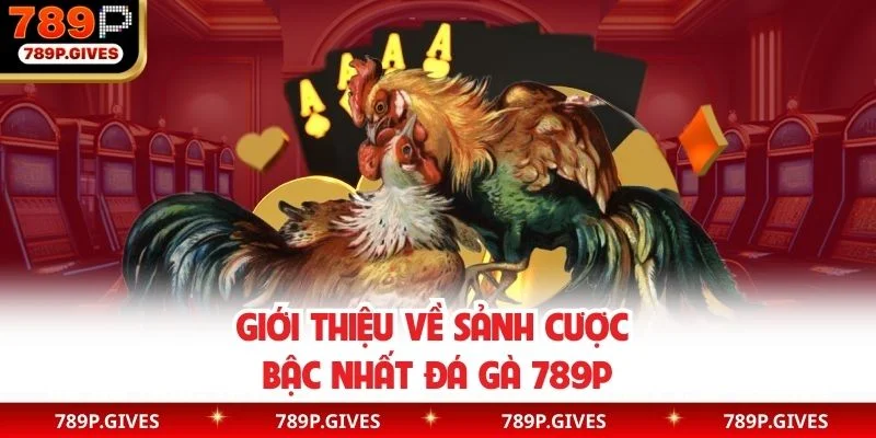 Giới thiệu về sảnh cược bậc nhất đá gà 789P